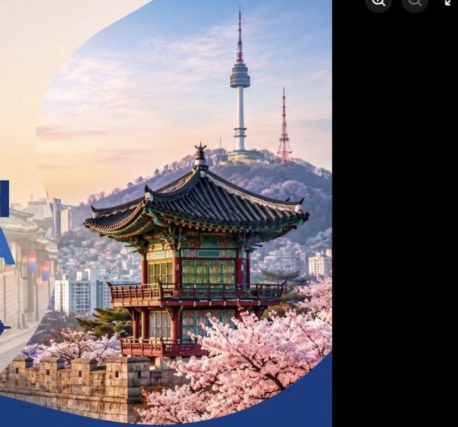 South Korea e-visa